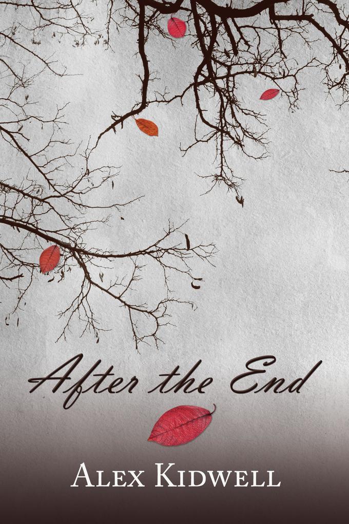 Produktbild: After the End | Alex Kidwell