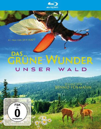 Produktbild: Das grüne Wunder - Unser Wald | Jan Haft, Gerwig Lawitzky, Jörn Röver