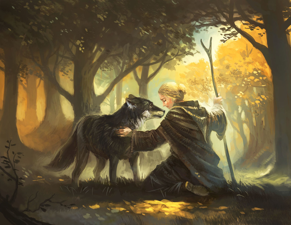 Weitere Ansicht: Die Legenden von Andor - Erweiterung - Der Sternenschild | Michael Menzel