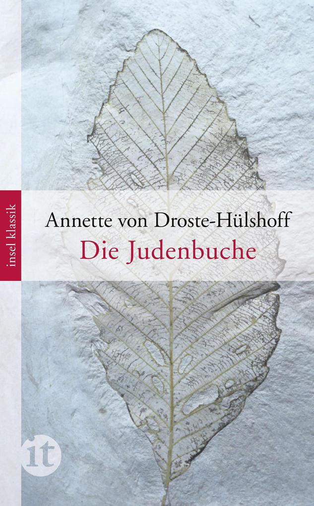 Produktbild: Die Judenbuche | Annette von Droste-Hülshoff