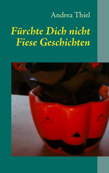 Produktbild: Fürchte Dich nicht | Andrea Thiel
