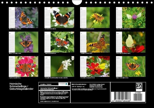 Weitere Ansicht: Heimische Schmetterlinge / Geburtstagskalender (Wandkalender immerwährend DIN A4 quer) | K. A. Kattobello