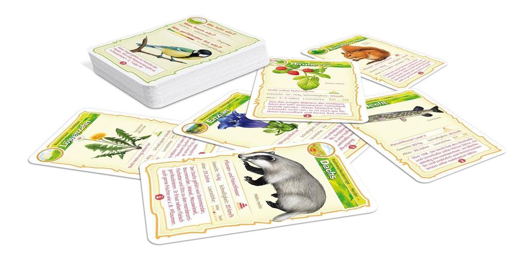 Weitere Ansicht: Abenteuer Schule - Natur Bingo