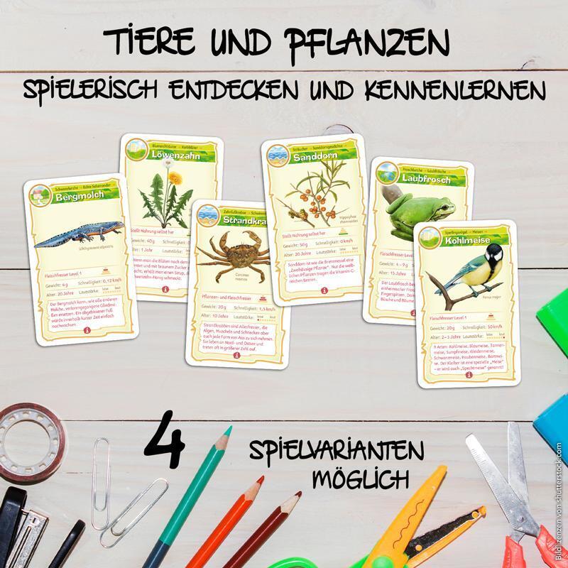Weitere Ansicht: Abenteuer Schule - Natur Bingo