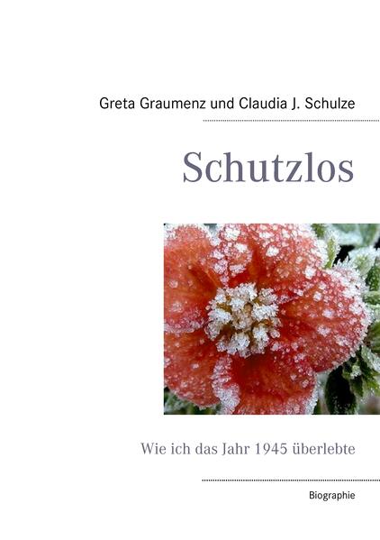 Schutzlos.pdf