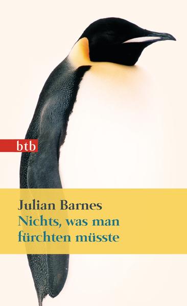 Produktbild: Nichts, was man fürchten müsste | Julian Barnes