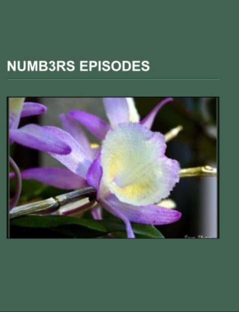 Numb3rs episodes.pdf