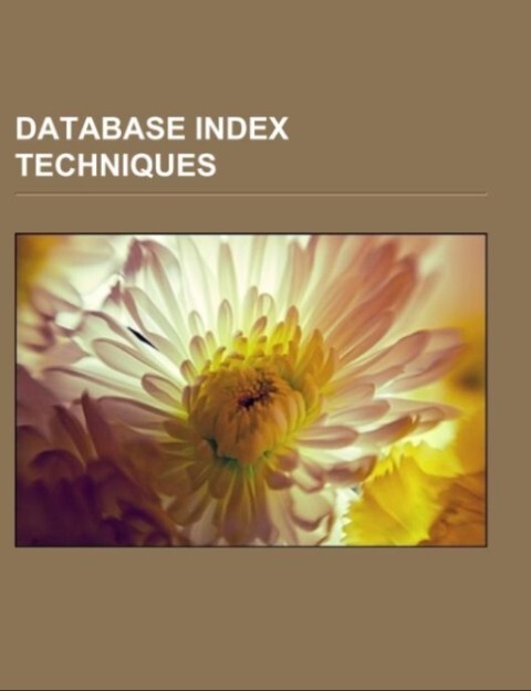 Database index techniques.pdf