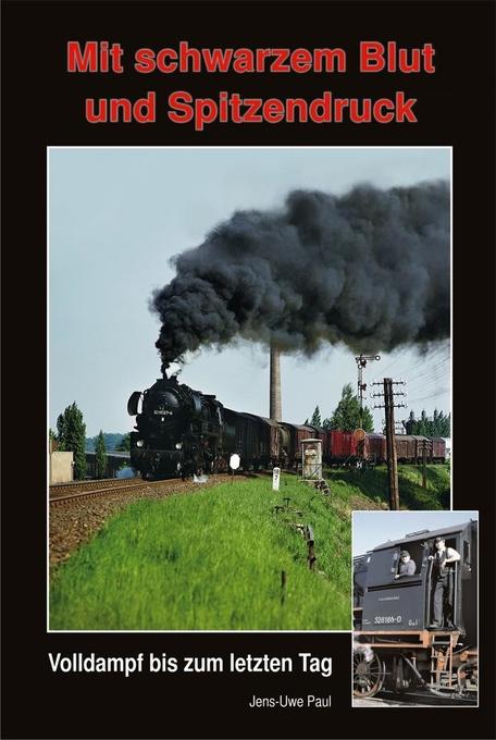 Mit schwarzem Blut und Spitzendruck.pdf