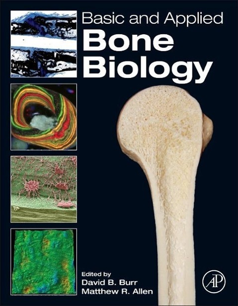 Produktbild: Basic and Applied Bone Biology