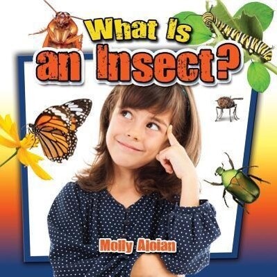 What is an insect?.pdf