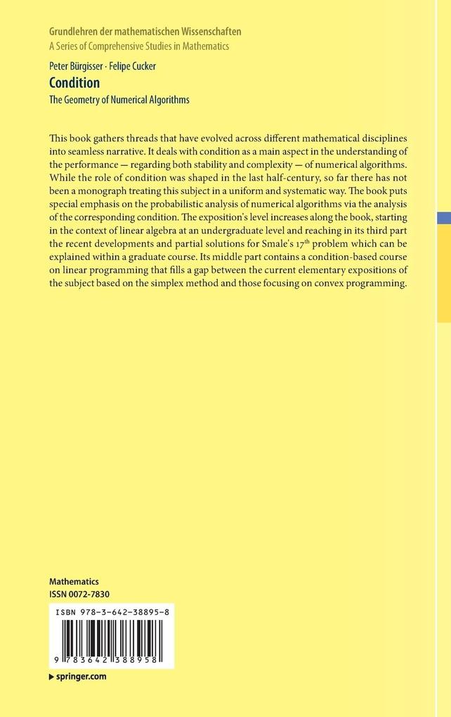 Weitere Ansicht: Condition | Peter Bürgisser, Felipe Cucker