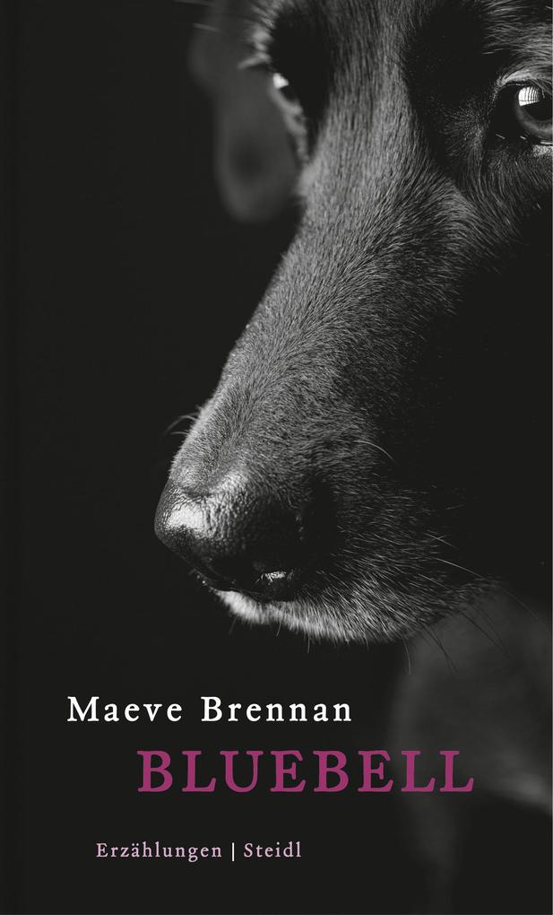 Produktbild: Bluebell | Maeve Brennan