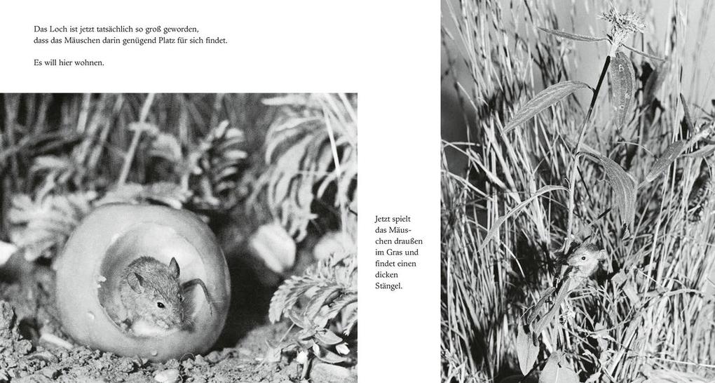 Weitere Ansicht: Das Apfelmäuschen | Mathilde Reich, Ulrich Thomas