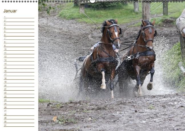 Weitere Ansicht: Der Pferde-Geburtstagskalender (Wandkalender immerwährend DIN A2 quer) | Antje Lindert-Rottke