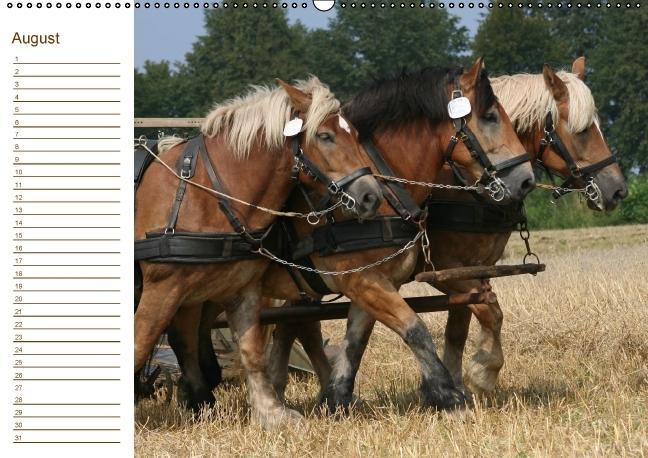 Weitere Ansicht: Der Pferde-Geburtstagskalender (Wandkalender immerwährend DIN A2 quer) | Antje Lindert-Rottke