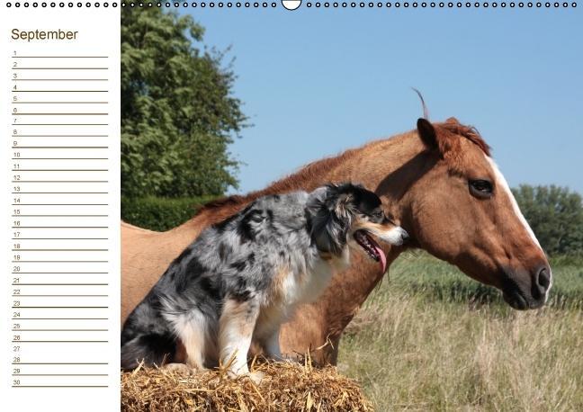 Weitere Ansicht: Der Pferde-Geburtstagskalender (Wandkalender immerwährend DIN A2 quer) | Antje Lindert-Rottke