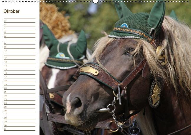 Weitere Ansicht: Der Pferde-Geburtstagskalender (Wandkalender immerwährend DIN A2 quer) | Antje Lindert-Rottke
