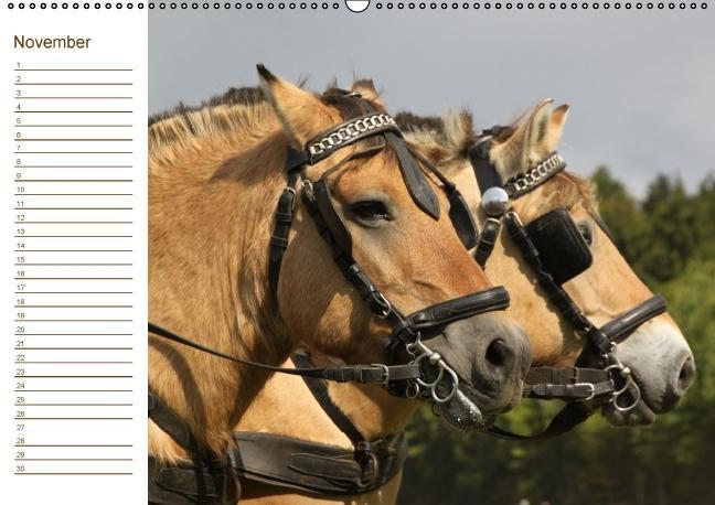 Weitere Ansicht: Der Pferde-Geburtstagskalender (Wandkalender immerwährend DIN A2 quer) | Antje Lindert-Rottke