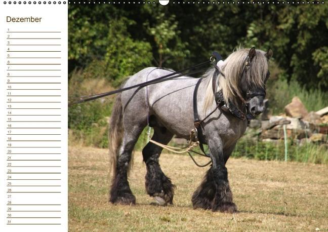 Weitere Ansicht: Der Pferde-Geburtstagskalender (Wandkalender immerwährend DIN A2 quer) | Antje Lindert-Rottke