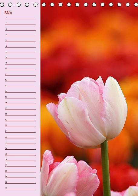 Weitere Ansicht: Der Geburtstagskalender (Tischkalender immerwährend DIN A5 hoch) | Lilo Kapp