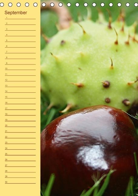 Weitere Ansicht: Der Geburtstagskalender (Tischkalender immerwährend DIN A5 hoch) | Lilo Kapp