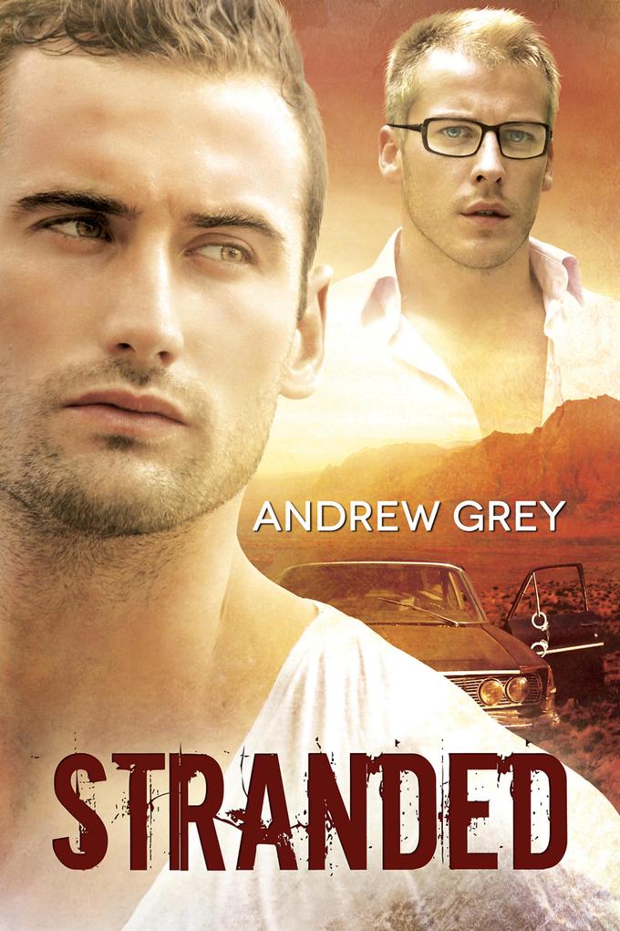 Produktbild: Stranded | Andrew Grey