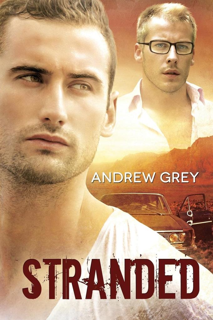 Produktbild: Stranded | Andrew Grey
