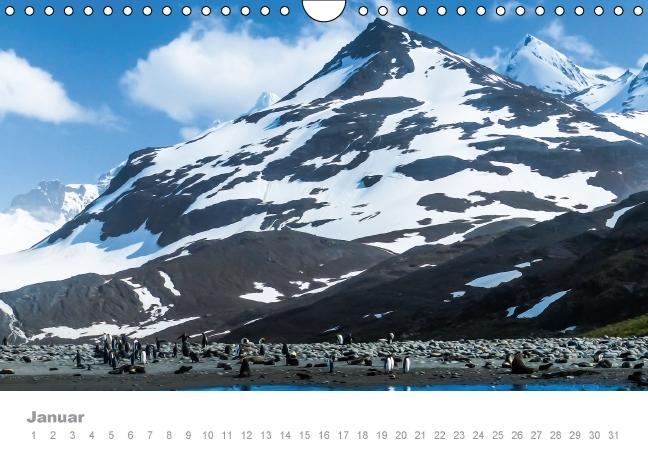 Weitere Ansicht: ANTARKTIS (Wandkalender immerwährend DIN A4 quer) | Max Steinwald