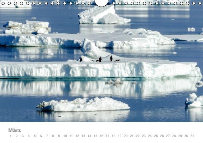 Weitere Ansicht: ANTARKTIS (Wandkalender immerwährend DIN A4 quer) | Max Steinwald