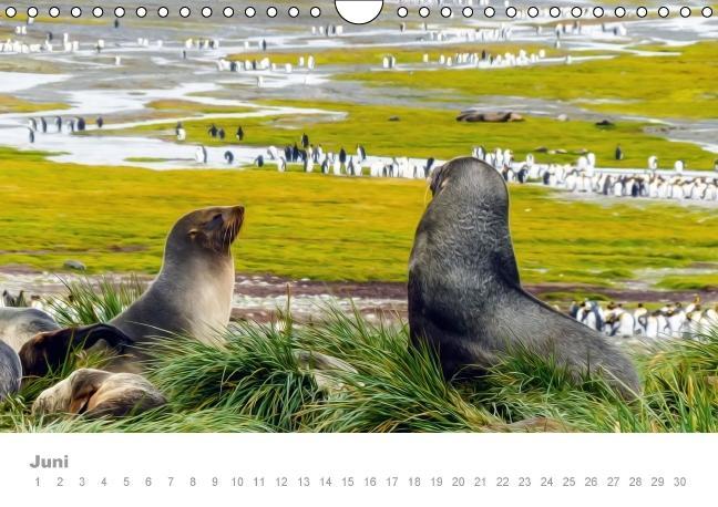 Weitere Ansicht: ANTARKTIS (Wandkalender immerwährend DIN A4 quer) | Max Steinwald