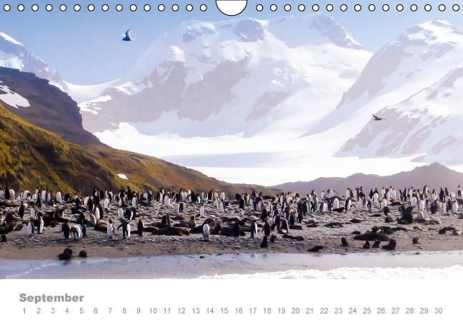 Weitere Ansicht: ANTARKTIS (Wandkalender immerwährend DIN A4 quer) | Max Steinwald