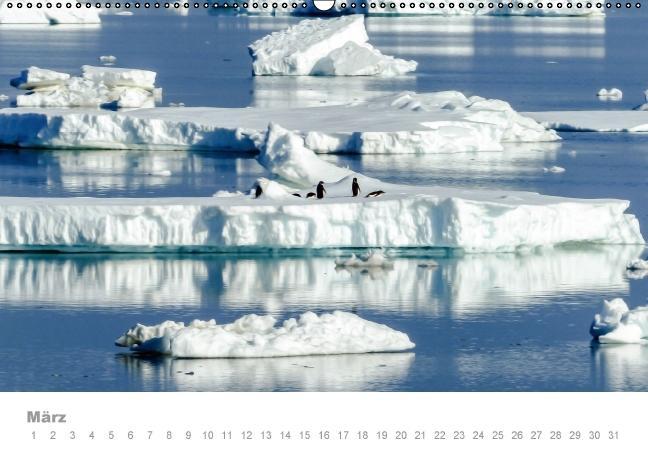 Weitere Ansicht: ANTARKTIS (Wandkalender immerwährend DIN A2 quer) | Max Steinwald