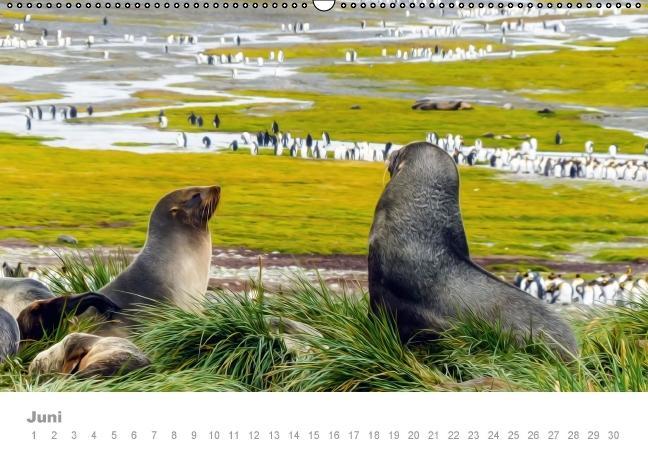 Weitere Ansicht: ANTARKTIS (Wandkalender immerwährend DIN A2 quer) | Max Steinwald