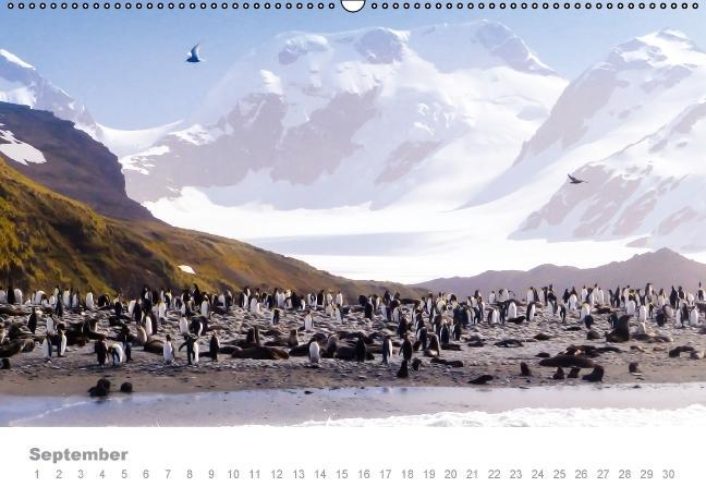 Weitere Ansicht: ANTARKTIS (Wandkalender immerwährend DIN A2 quer) | Max Steinwald