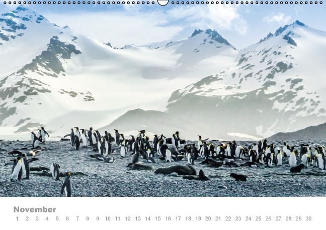 Weitere Ansicht: ANTARKTIS (Wandkalender immerwährend DIN A2 quer) | Max Steinwald