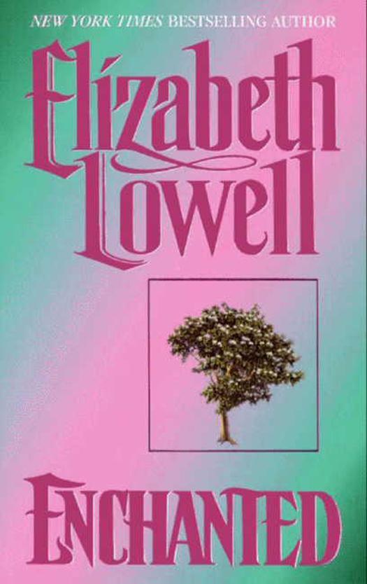 Produktbild: Enchanted | Elizabeth Lowell