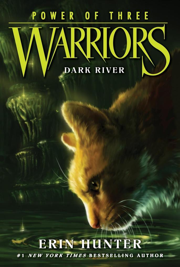 Produktbild: Warriors: Power of Three #2: Dark River | Erin Hunter