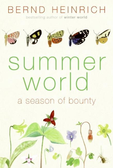 Produktbild: Summer World | Bernd Heinrich