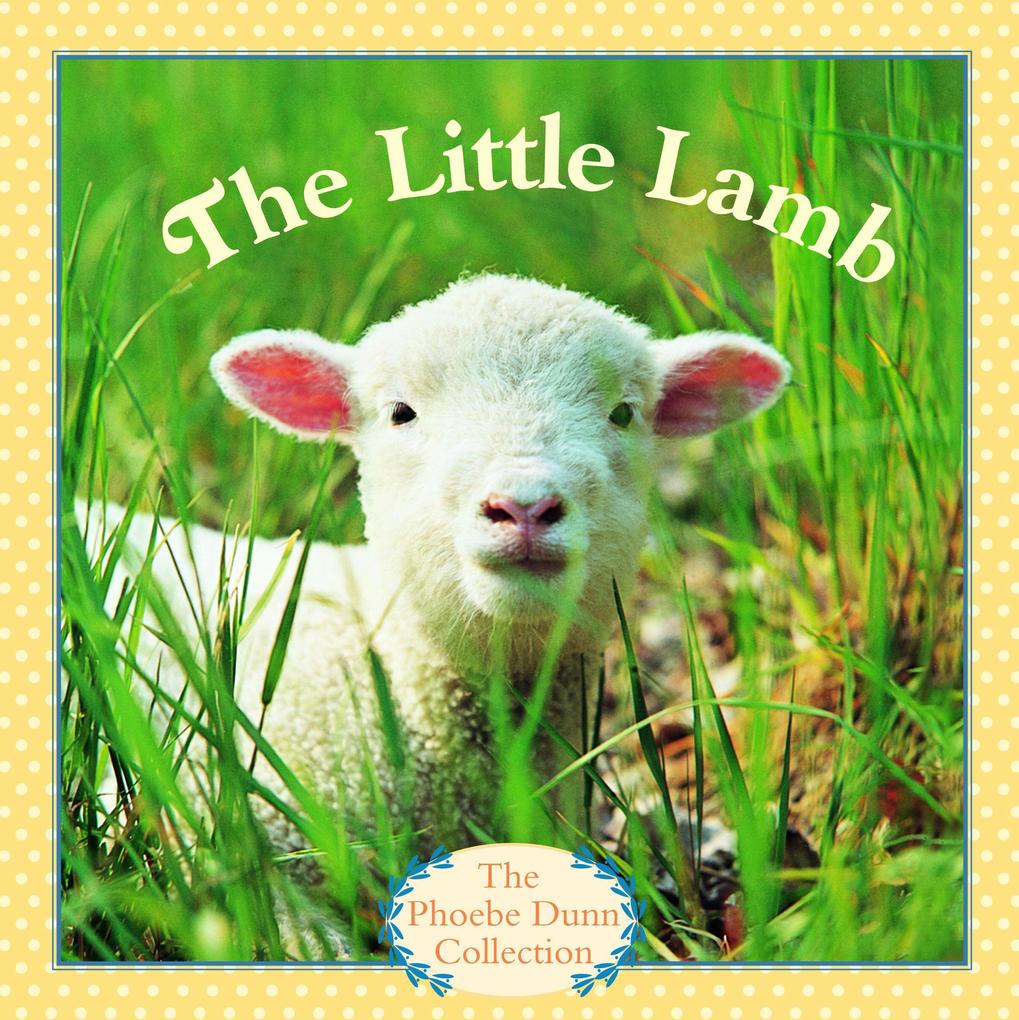 Produktbild: The Little Lamb | Phoebe Dunn