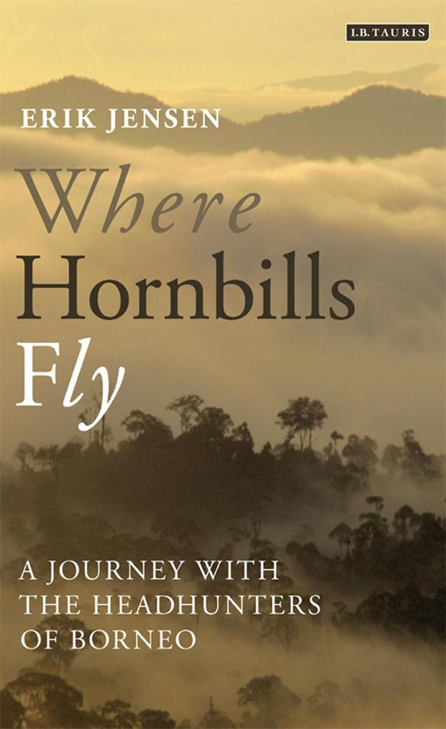 Produktbild: Where Hornbills Fly | Erik Jensen