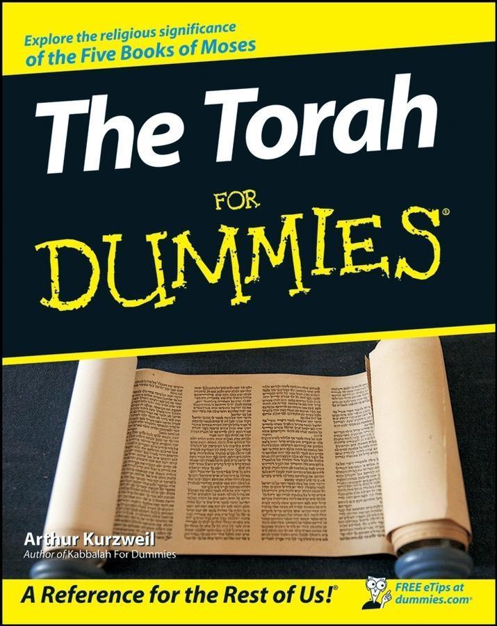 The Torah For Dummies.pdf