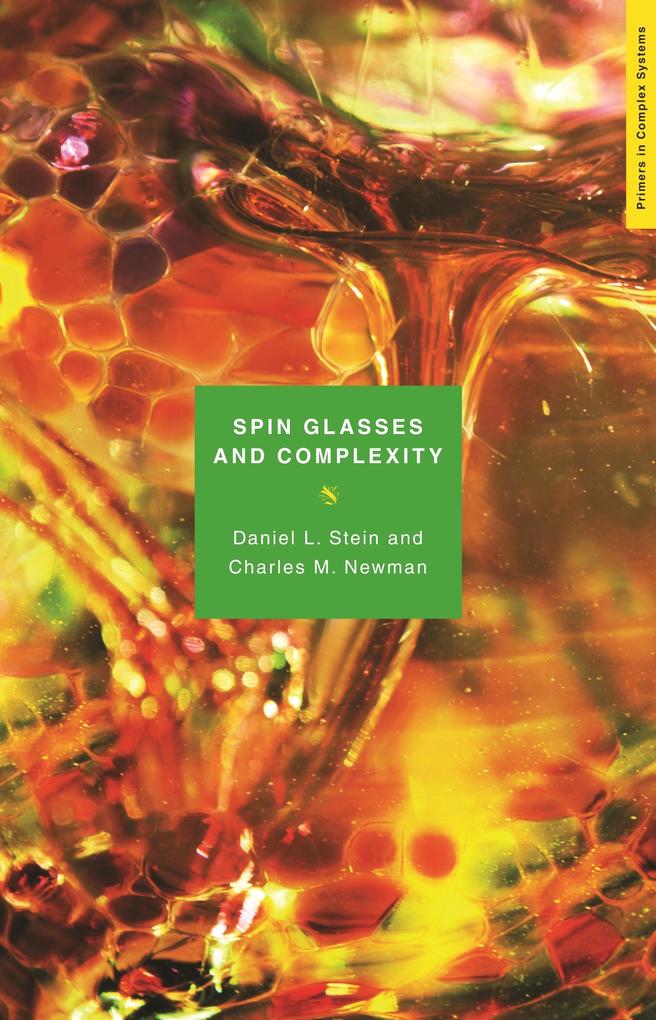 Spin Glasses and Complexity.pdf