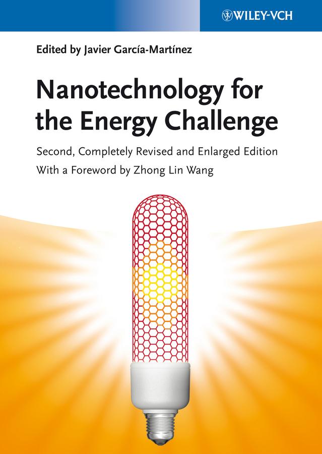 Nanotechnology for the Energy Challenge.pdf