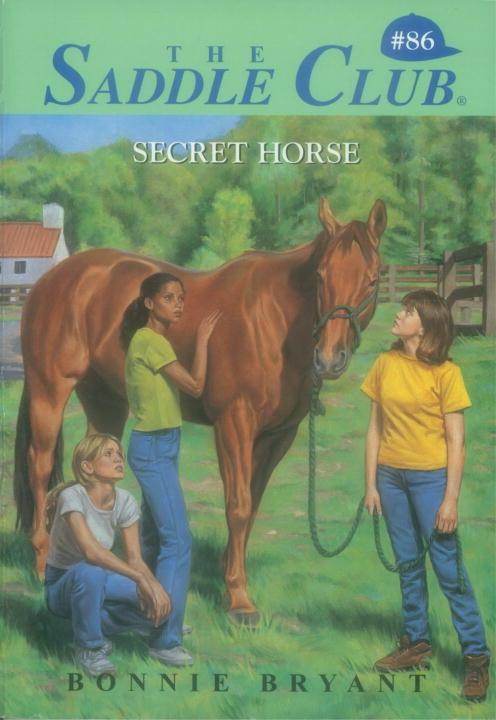 Produktbild: Secret Horse | Bonnie Bryant