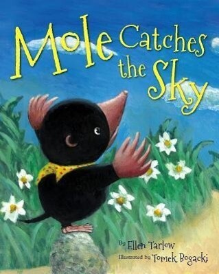 Mole Catches the Sky.pdf