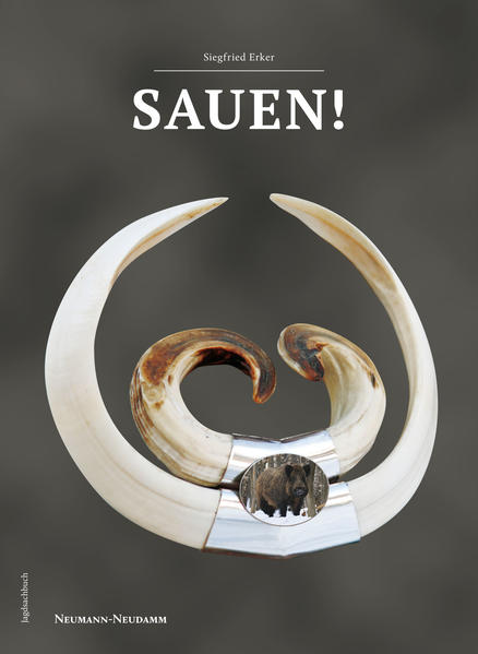 SAUEN!.pdf