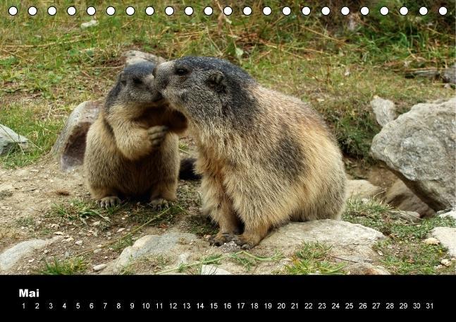 Weitere Ansicht: Schweizer Alpen (Tischkalender immerwährend DIN A5 quer) | Andrea Pons