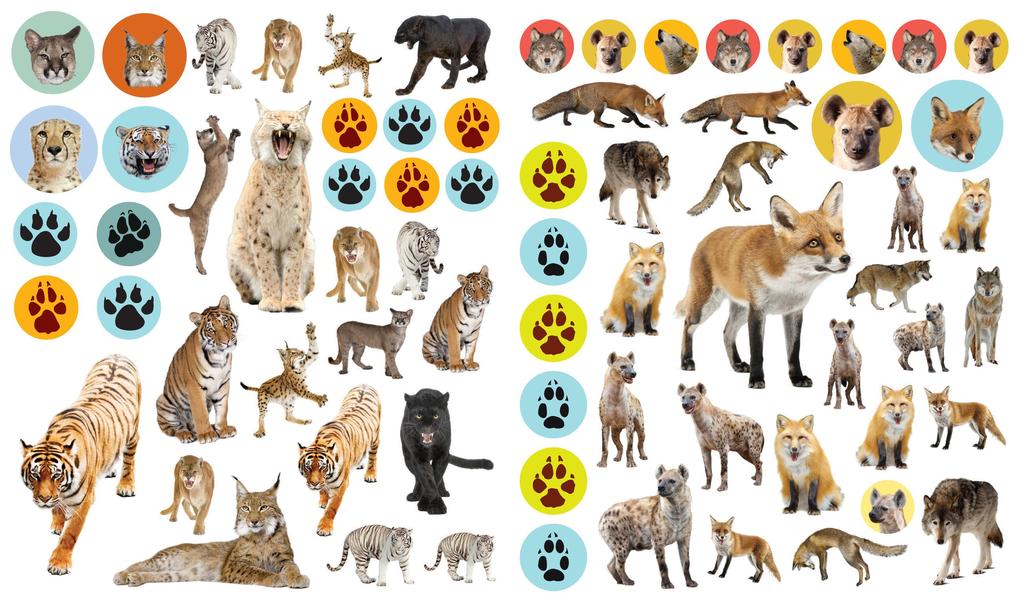 Weitere Ansicht: Eyelike Stickers: Wild Animals