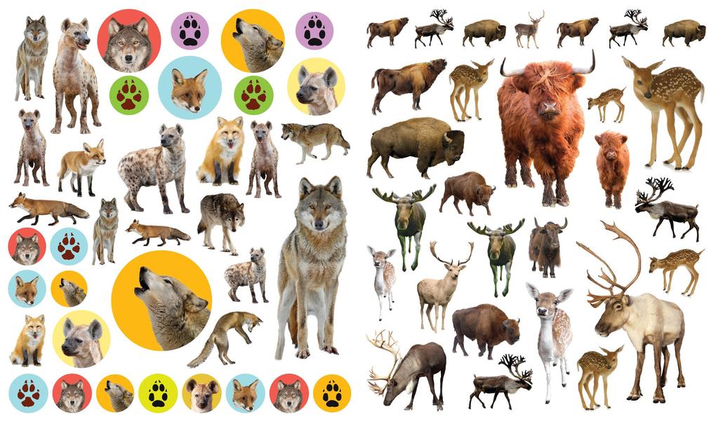 Weitere Ansicht: Eyelike Stickers: Wild Animals